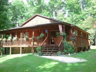 4490 Chestnut Mountain Way, Cosby TN  37722-2160 exterior