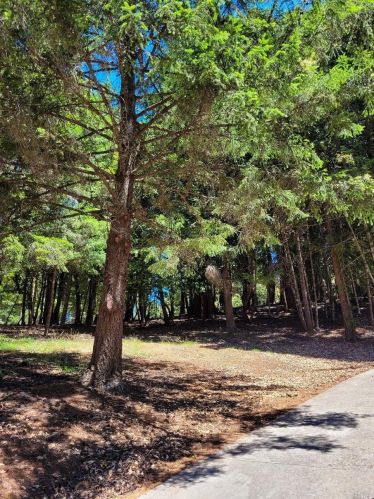 27421 Ridge Rd, Willits CA  95490-8985 exterior