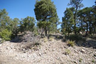 45 Edelweiss, Sedillo, NM 87059-8052