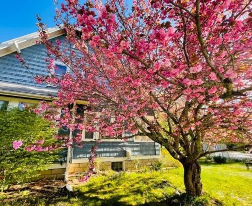 25 Gibbs Ave, Wareham, MA 02571-1404