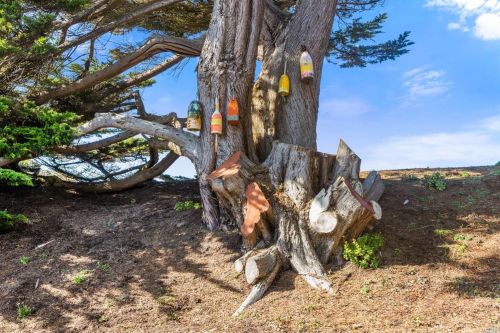 14240 Headlands Point Way, Mendocino CA  95460-9612 exterior