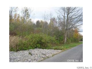 3067 Brewer Rd, Otisco Valley, NY 13110-3291