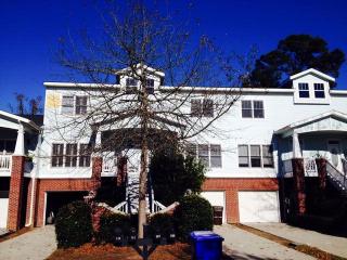 157 Etiwan Pointe Dr, Mount Pleasant SC  29464-7929 exterior