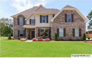 102 Ramsbrook Dr, Madison AL  35757-6967 exterior