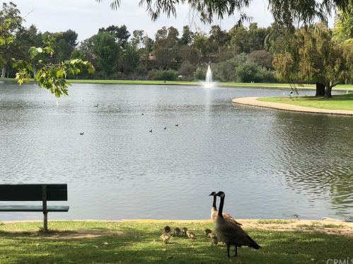 8 Arboles, Irvine CA 92612-2626 exterior