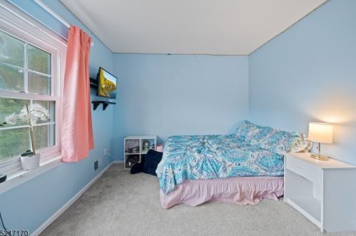 41 Dory Dilts Rd, Flemington NJ  08822-2805 exterior