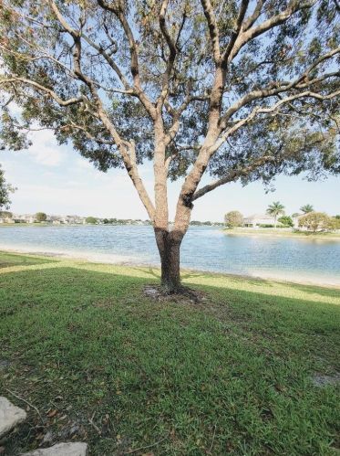 208 Berenger Walk, West Palm Beach FL  33414-4349 exterior