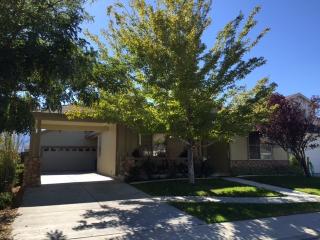 223 Corral Dr, Dayton, NV 89403-7341