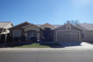 3331 Tonto Ln, Phoenix AZ  85050-3982 exterior