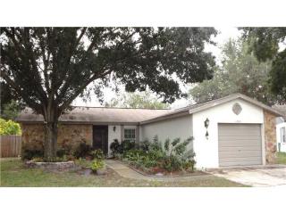 11303 Silverleaf Ct, Riverview, FL 33579-7039