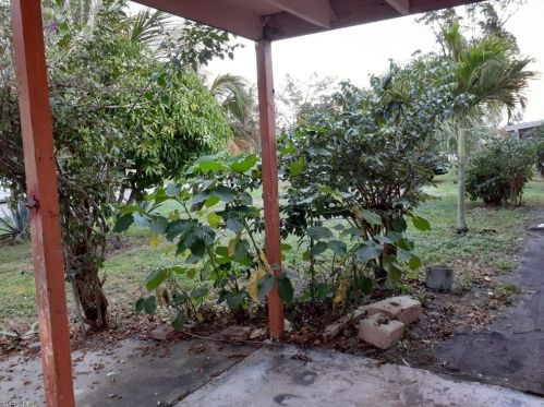 1114 Cherokee Ave, Lehigh Acres FL 33936-6856 exterior