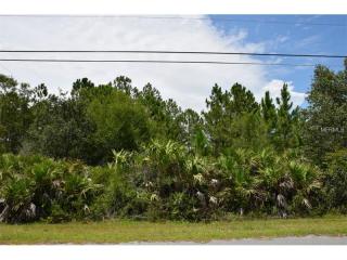 20145 Starry St, Orlando, FL 32833-5603