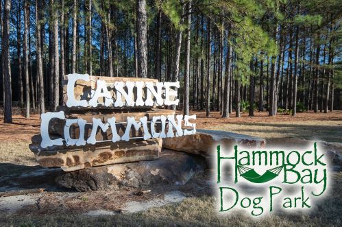 15 Dickens Dr, Freeport FL  32439-2295 exterior