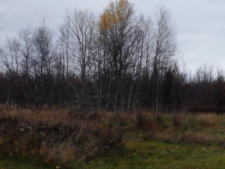103 Gene Lefevre Rd, Cadyville, NY 12918-2503