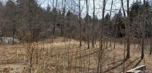 673 Cooley Rd, Parksville, NY 12768-5355