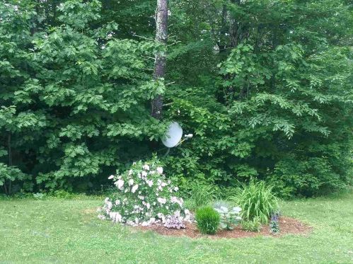 23 Jackson Rdg Rd, Danbury NH  03230-4147 exterior