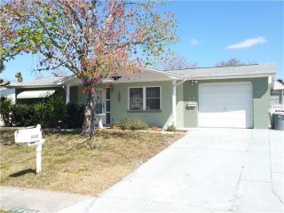 1440 Russel Ln, Tarpon Springs, FL 34691-4812