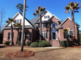 1317 Mcleans Ct, Mount Pleasant SC  29466-8096 exterior