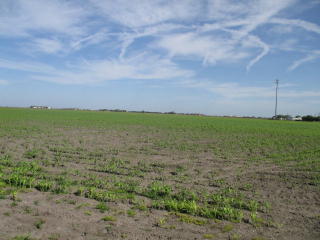 1 Owl Sq, Odem, TX 78370-4388