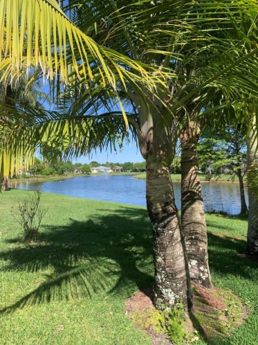 3478 63rd Sq, Vero Beach, FL 32966-6466
