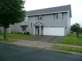 1115 Locust St, Farmington, MN 55024-1784