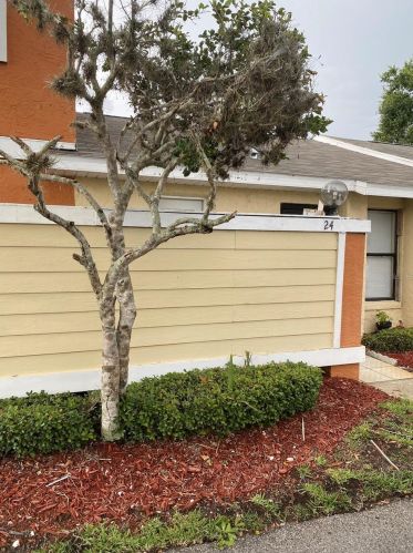 24 Silver Falls Cir, Kissimmee, FL 34743-3800