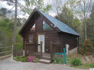 318 Braun Wren Way, Gatlinburg TN  37738-5889 exterior