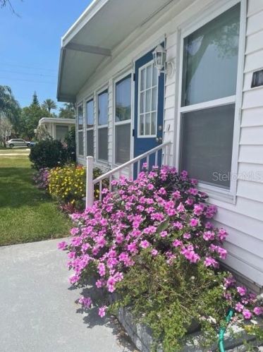 115 Independence Ave, Palm Harbor, FL 34684-1415