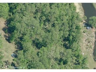 24401 Colonial Dr, Xmas, FL 32709-9790