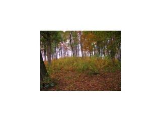 106 Shel Kel Dr, Johnson City, TN 37615-2155