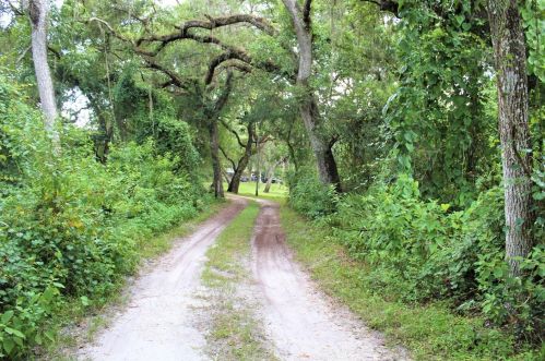 32348 Marchmont Cir, Dade City FL  33523-9026 exterior