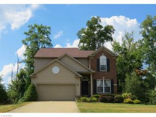 1819 Maplegrove Dr, Twinsburg, OH 44087-1951