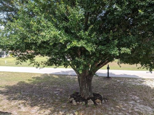 1301 Olive Ave, Lehigh Acres FL 33971-5337 exterior