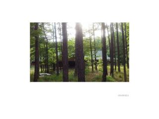 387 Webb Rd, Nixburg, AL 36026-4122
