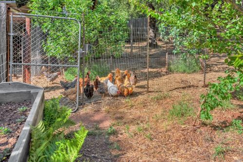 3802 Chanate Rd, Santa Rosa CA  95404-1840 exterior