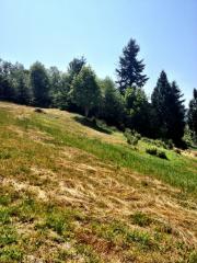 1620 40 St, Bellingham WA  98229-3305 exterior