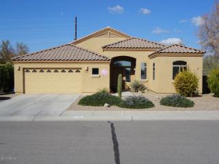 11502 Kalamansi Dr, Marana, AZ 85653-8148