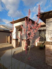 21685 91st Dr, Peoria, AZ 85382-8349
