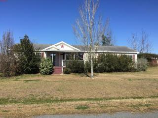 6171 143rd Pl, Summerfield, FL 34491-7768