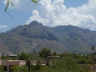 6728 Shadow Run Dr, Tucson, AZ 85704-6930