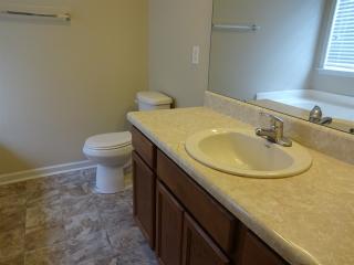 101 Calcite Dr, Greer SC  29650-5328 exterior