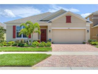 10151 Celtic Ash Dr, Ruskin, FL 33573-6732