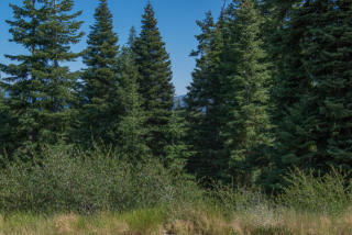 12507 Falcon Point Pl, Truckee CA  96161-6447 exterior