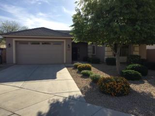 11243 164th Ct, Sun City, AZ 85388-6039