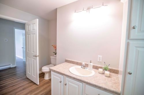 29 Theresa Ave, Salem NH  03079-3959 exterior