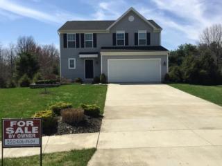 1336 Royal Fern Dr, Akron, OH 44312-6034