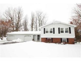 16 Page Pl, East Bloomfield, NY 14469-9349
