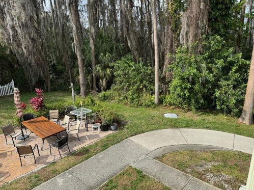 20861 Haulover Cv, Lutz FL  33558 exterior