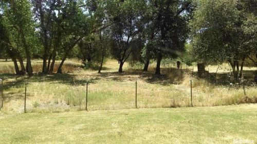 5440 Fruitvale Rd, Newcastle, CA 95658-9434