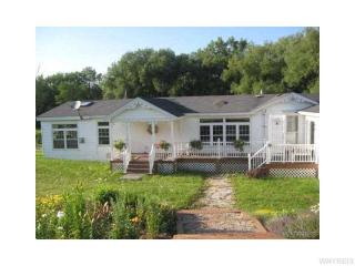 6998 Mill Valley Rd, East Otto, NY 14729-9735